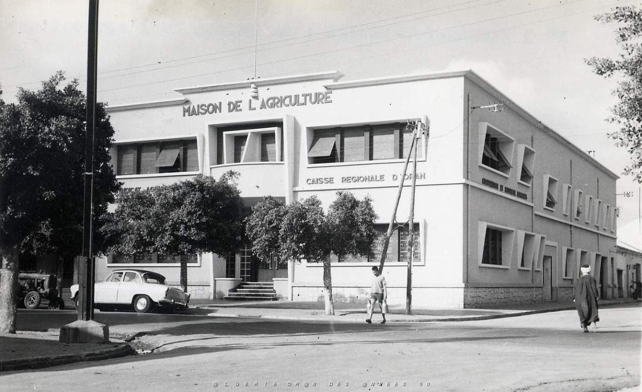 Hammam bou hadjar 500- Maison agriculture COLLECTION DES AMIS DE ND DE SANTA CRUZ.jpg